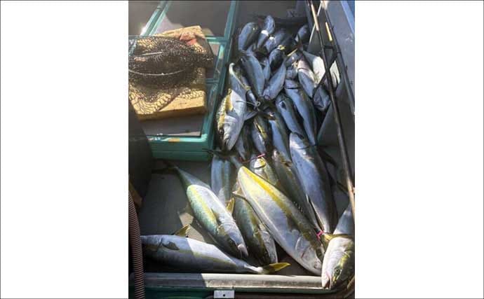 【沖釣り釣果速報】芦屋沖の落とし込み釣りで100cmヒラマサ浮上！船中青物57匹の爆発劇（福岡）