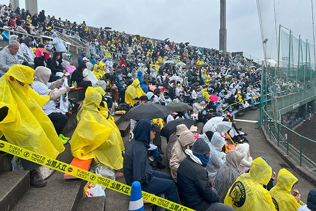 小雨が降りしきる悪天候にもかかわらず、中日vs阪神のオープン戦を見ようと超満員の観客が集まったAgre（アグレ）スタジアム北谷