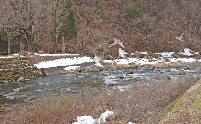 「解禁1ヶ月後の本流でも釣れる？」吉田川の渓流エサ釣りでまさかのアマゴ連発