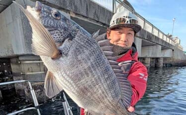 ボートからウキダンゴ釣りで51cm頭に良型クロダイ9匹！【愛知】温排水ポイント狙い撃ち