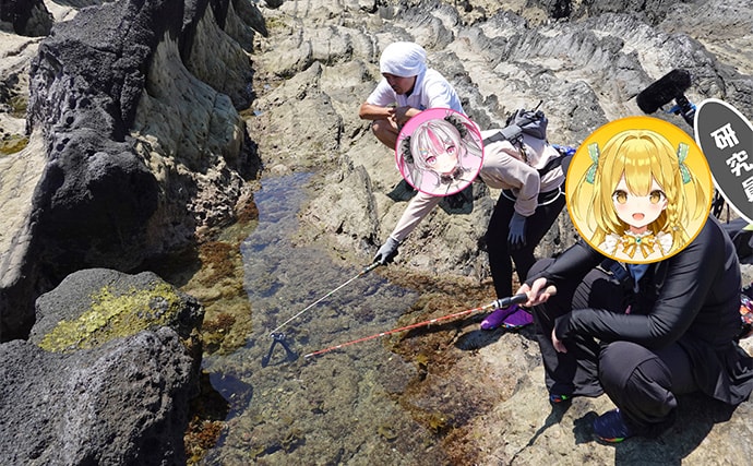 VTuber『うおむすめ』が磯採集に挑戦！ タイドプールの見釣りで小魚連発に大喜び