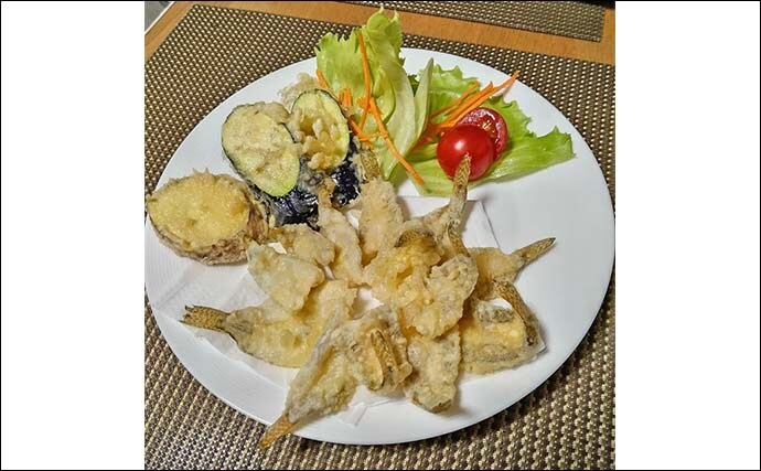 「手前狙いがハマった！」知多半島のチョイ投げ釣りで50匹のハゼを手中【愛知】