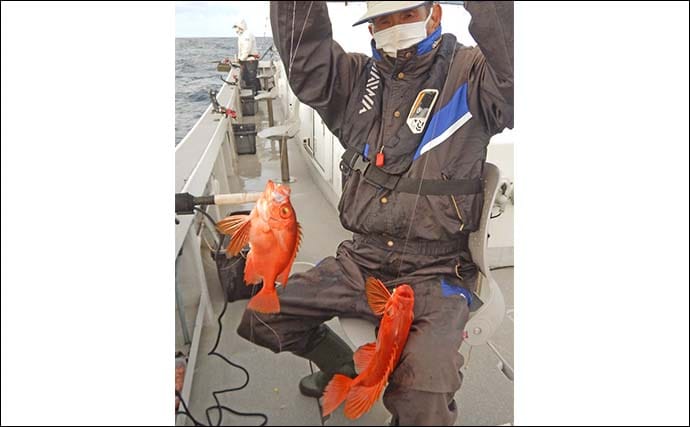 沖の五目釣りチカメキントキにアカイサキにイサキと多彩釣果【福岡】