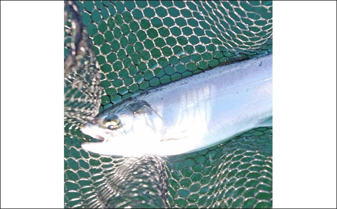 西湖のヒメマス＆ワカサギ釣りが解禁！【遊魚期間・釣り方・仕掛けを解説】