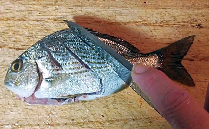 釣った魚で作る「日本の朝ごはん」レシピ：ヘダイのちょい干し