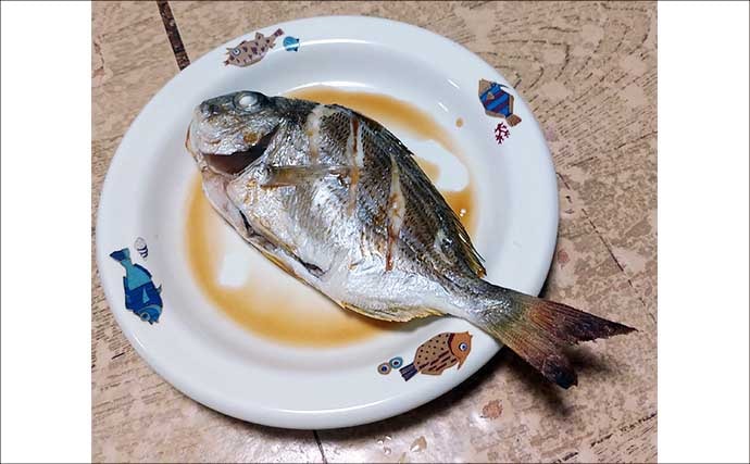 釣った魚で作る「日本の朝ごはん」レシピ：ヘダイのちょい干し