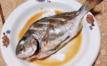 釣った魚で作る「日本の朝ごはん」レシピ：ヘダイのちょい干し