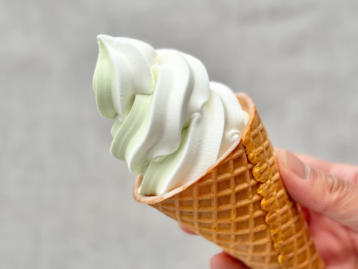 メロン好きにはたまらない♡【ファミマ限定】アイスがリッチでおいしい！