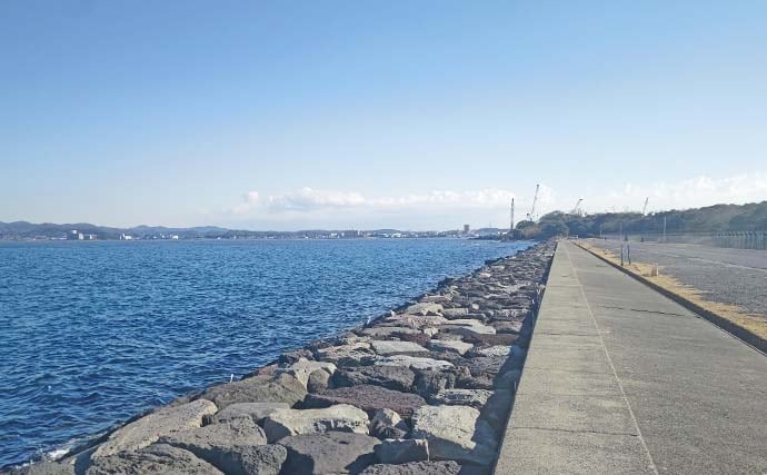 自衛隊護岸でウキフカセ釣り満喫【千葉・館山】44cmメジナ含め良型連発の好展開