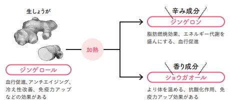 しょうがのすごいパワー【1週間で勝手に-10歳若返る体になるすごい方法】