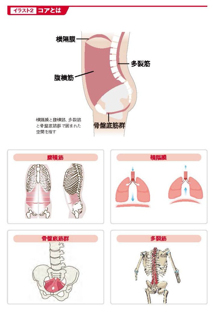 コアとは【スポーツ障害予防の教科書】