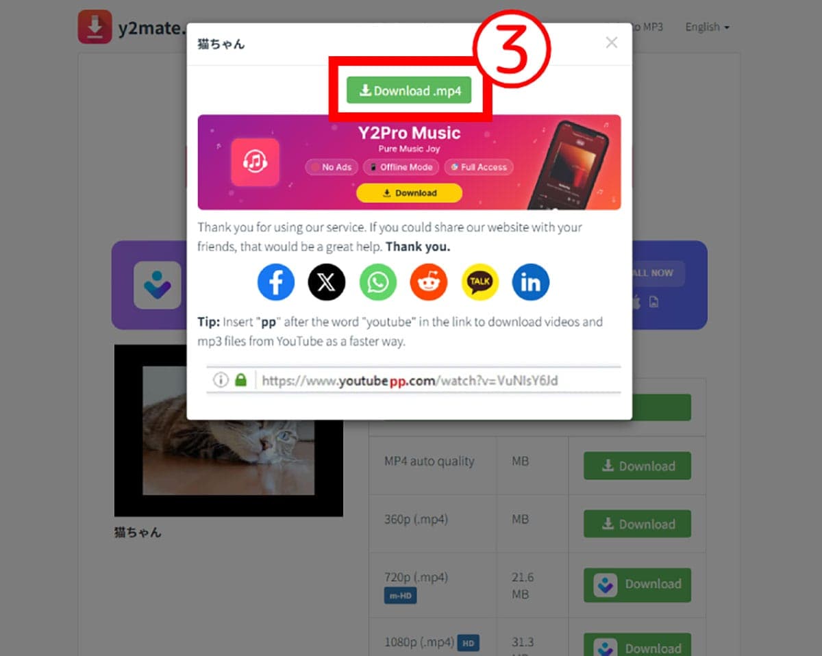 【360ピクセルのみ】y2mate.com2