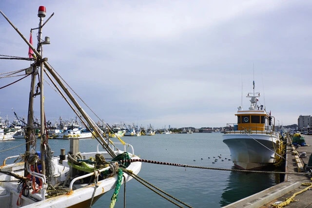 利根川沿いの風景