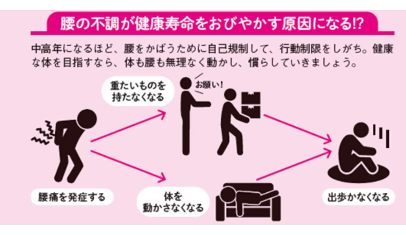 腰の不調が健康寿命をおびやかす原因になる？『専門医がしっかり教える 図解　腰痛の話』