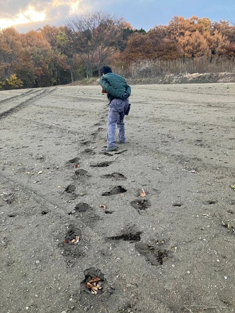 浅間山麓を巡回中、休耕地で獣の足跡を発見。クマかと思いきや、櫻井氏は足跡の圧力具合からイノシシと見抜いた