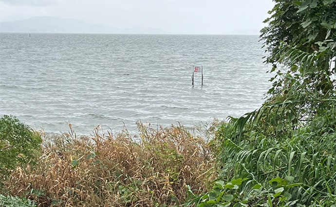 ネット通販の激安スプーンでチヌが釣れた！【浜名湖】地元の常連からの情報が決め手に