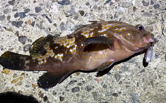 「寒さは判断力と注意力を奪う！」 真冬の釣りが安全に成立する気温は何度まで？