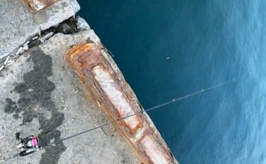 「寒さは判断力と注意力を奪う!」 真冬の釣りが安全に成立する気温は何度まで?