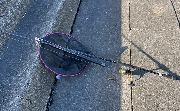 木曽川河口のルアーマゴチ釣りで43cm本命をキャッチ！ 年末までは楽しめそうか