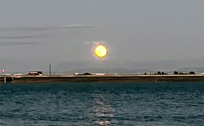 木曽川河口のルアーマゴチ釣りで43cm本命をキャッチ！ 年末までは楽しめそうか