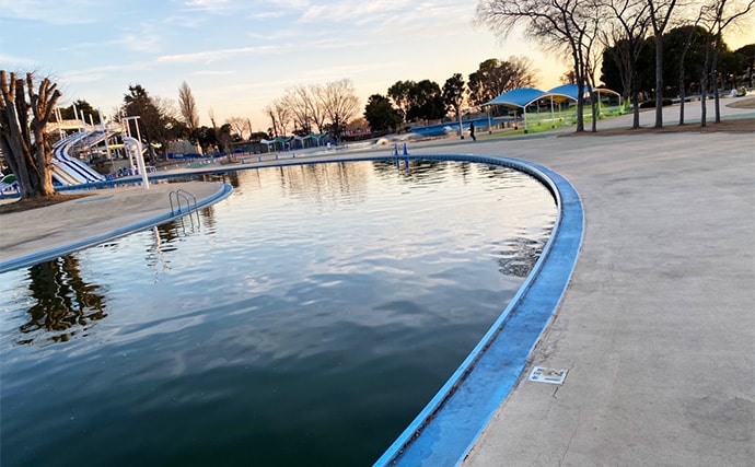 プールフィッシングで良型ニジマスを連打【しらこばと水上公園】フライで挑戦