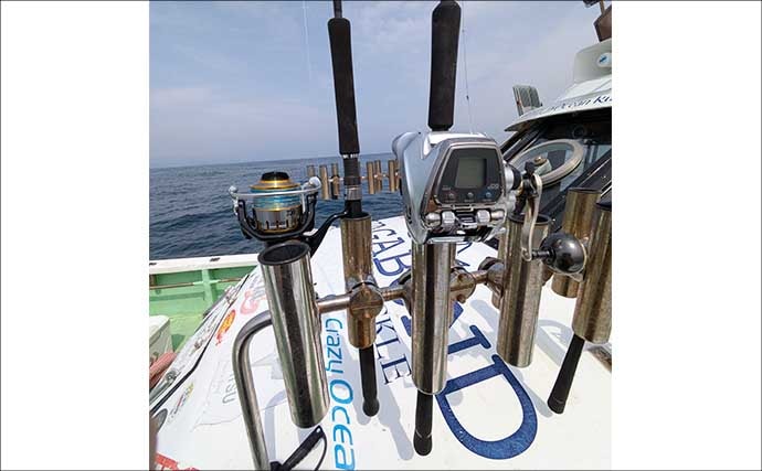 【これから始めるトンジギ入門】タックル選びから誘い・取り込みまで基礎を徹底ガイド