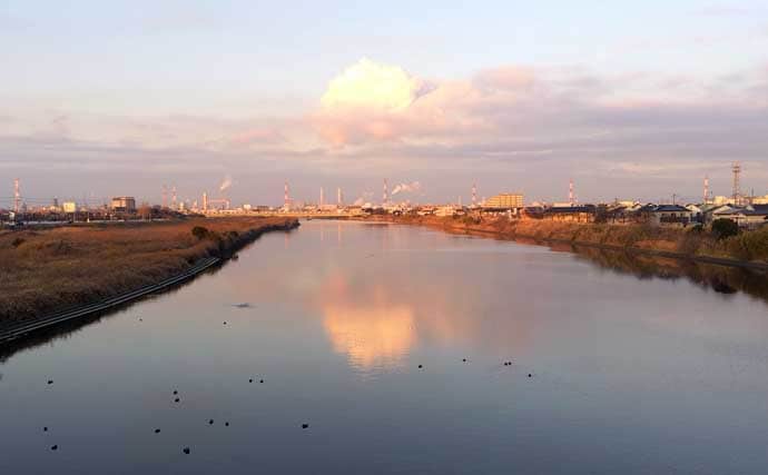 強風下のルアーシーバス釣行で50cm級本命3匹キャッチ成功！【千葉・養老川】