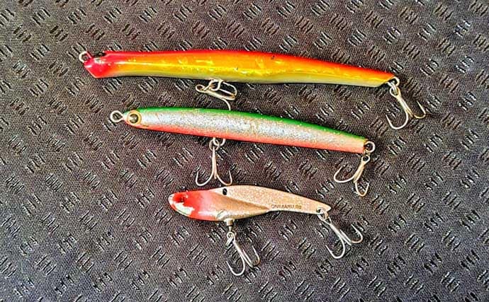 強風下のルアーシーバス釣行で50cm級本命3匹キャッチ成功！【千葉・養老川】