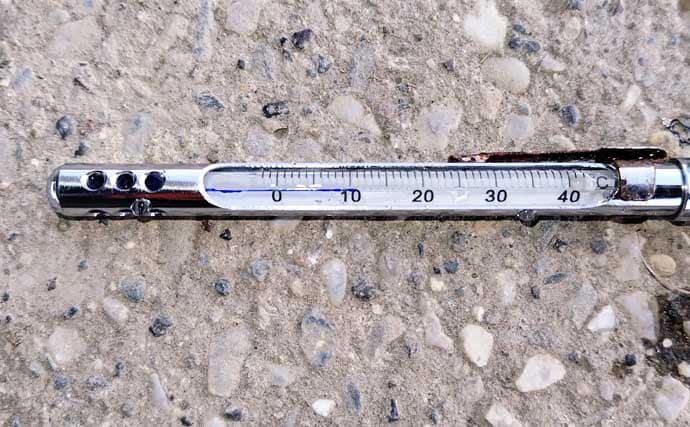 強風下のルアーシーバス釣行で50cm級本命3匹キャッチ成功！【千葉・養老川】