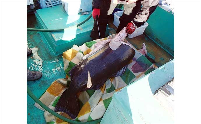 「水深900mの超深海戦！」相模湾ベニアコウ釣りで本命＆60kg級アブラボウズを好捕！【神奈川】