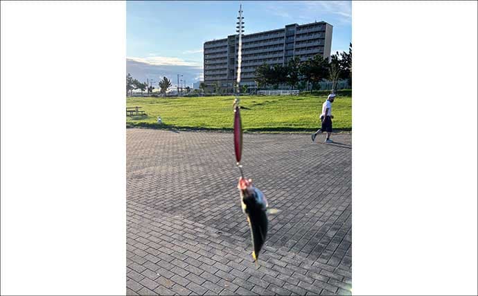 「ワンピッチジャークでヒットしない時はどうすればいい？」 LSJでの食い渋り対策2選