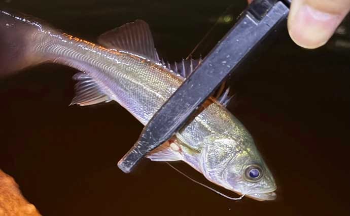 「ボウズにマンネリ・・」釣りを辞めたくなったら？　無理せず離れるのも一手