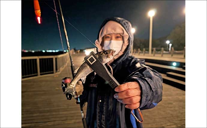 セイゴ好反応の電気ウキ釣りを家族で満喫【愛知・碧南ボードウォーク】ハリサイズ調整が奏功
