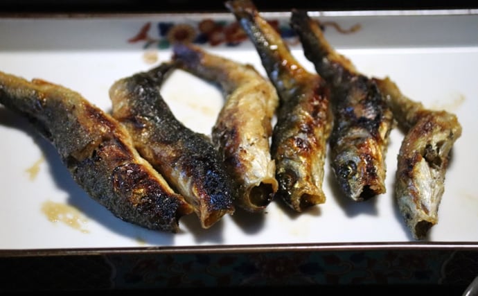 河川の雑魚代表「オイカワ・カワムツ・ウグイ」は似たもの同士？