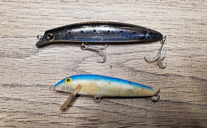 「初ヒットまで1年、初キャッチまで10年!」 ルアーシーバス釣りは難しい?