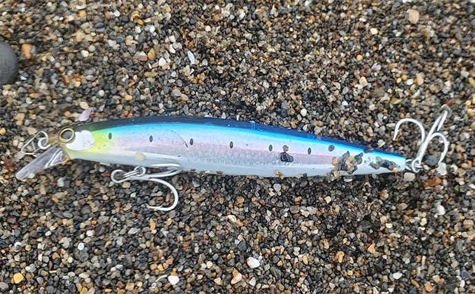 「初ヒットまで1年、初キャッチまで10年!」 ルアーシーバス釣りは難しい?