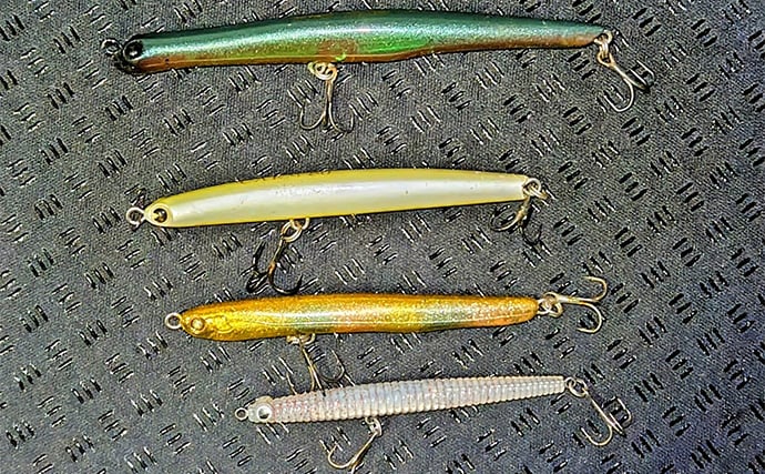 「冬の河川が熱すぎる！」80cm級大型シーバスが連発【養老川】 想定外のマゴチも登場