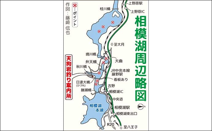 「浅ダナに良型連発!」相模湖ワカサギ釣りガイド【神奈川】アクセス良好&家族連れにも最適