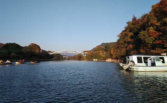 「浅ダナに良型連発!」相模湖ワカサギ釣りガイド【神奈川】アクセス良好&家族連れにも最適