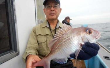伊勢湾のウタセマダイ釣りで本命9匹&ハマチ4匹を手中【愛知】ウタセエビの刺し方が釣果のカギ