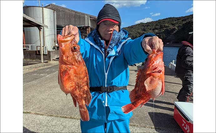 五ケ所湾沖のウッカリカサゴ釣りで40cm級連発！【三重】オニ・アヤメ交じり好土産