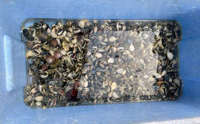 堤防フカセ釣りで本命アジ不発もウルメイワシを手中【千葉・天津港】