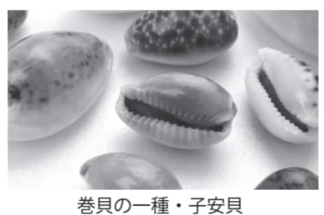 世界最古の貨幣【眠れなくなるほど面白い図解プレミアム経済の話】