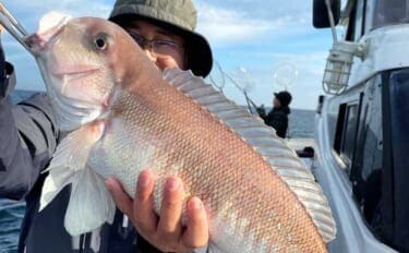 【沖釣り釣果速報】3kg超の“化け物級シロアマダイ”浮上！大分沖で記録級の一本（大分・熊本）