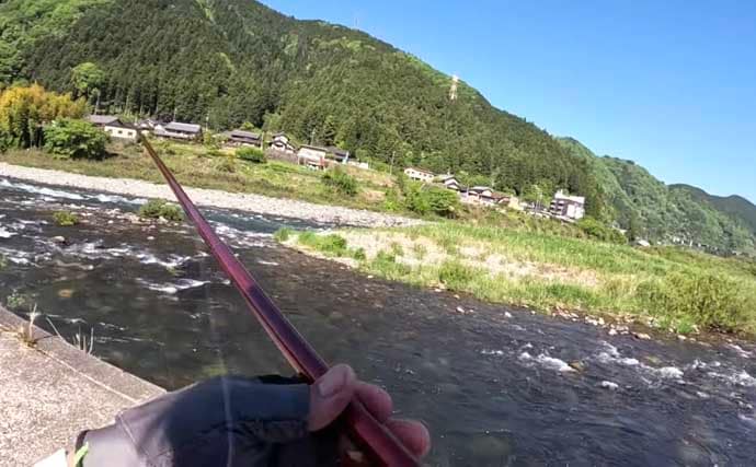 長良川郡上漁協管内の渓流釣り場ガイド【岐阜】本流アマゴ好ポイント紹介