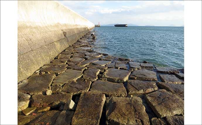 「アミパターン」は早春のメバル狙い最強メソッド　【ポイント・ルアー・アクションを解説】