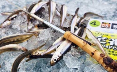 「はじめてでも数が釣れる！」ドーム船で始めるワカサギ釣り入門【道具・仕掛け・誘い方を完全ガイド】