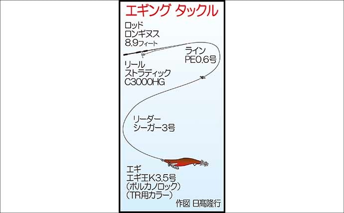 陸っぱりエギング釣行で1.2kgアオリイカ浮上【熊本】3kg超えキャッチの情報も！