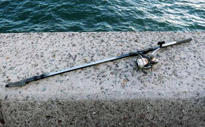 人生初のクロダイを釣りたいなら電気ウキ釣りで決まり！ 「3つの極意」とは？