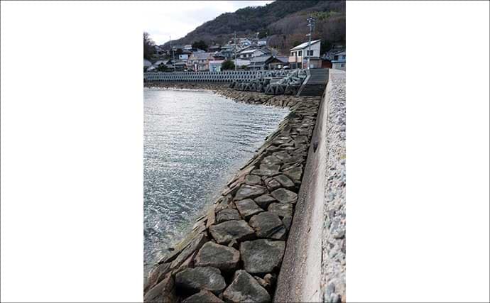 人生初のクロダイを釣りたいなら電気ウキ釣りで決まり！ 「3つの極意」とは？